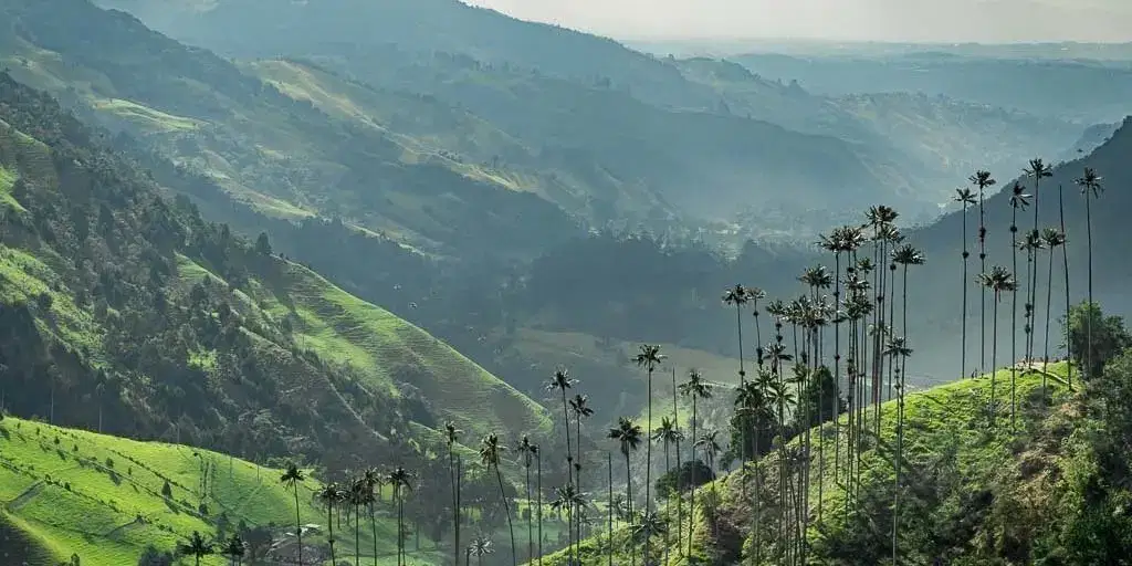 De Promoción al Eje Cafetero